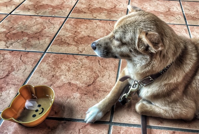 44CA4FBC-5E11-4802-89C4-BCFFC06B722D