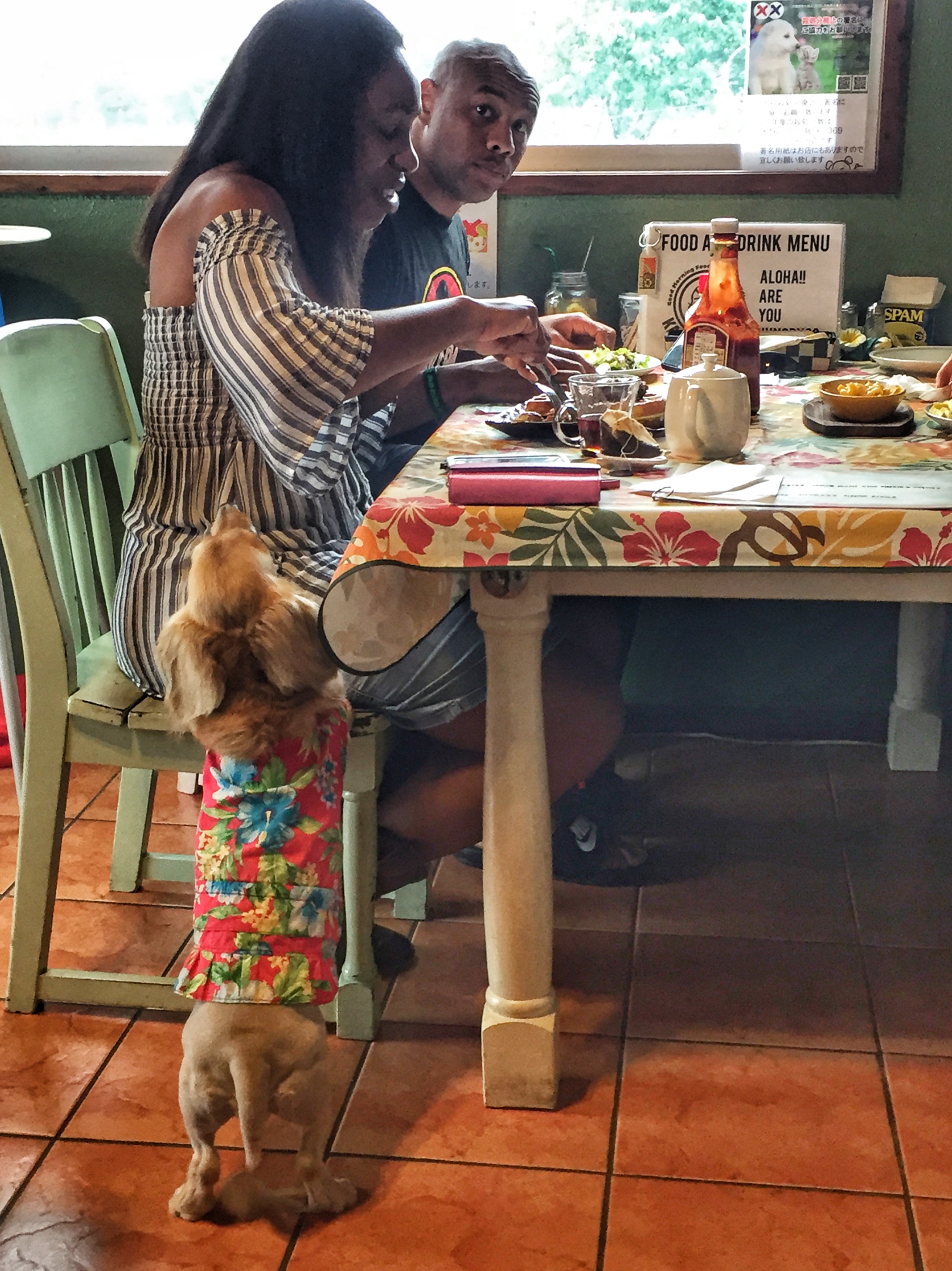 6A429982-D245-44B7-BB86-EFE5CCA1CD06