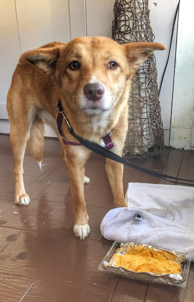 6E467A45-E88B-48BD-86DB-D0F783EF9691