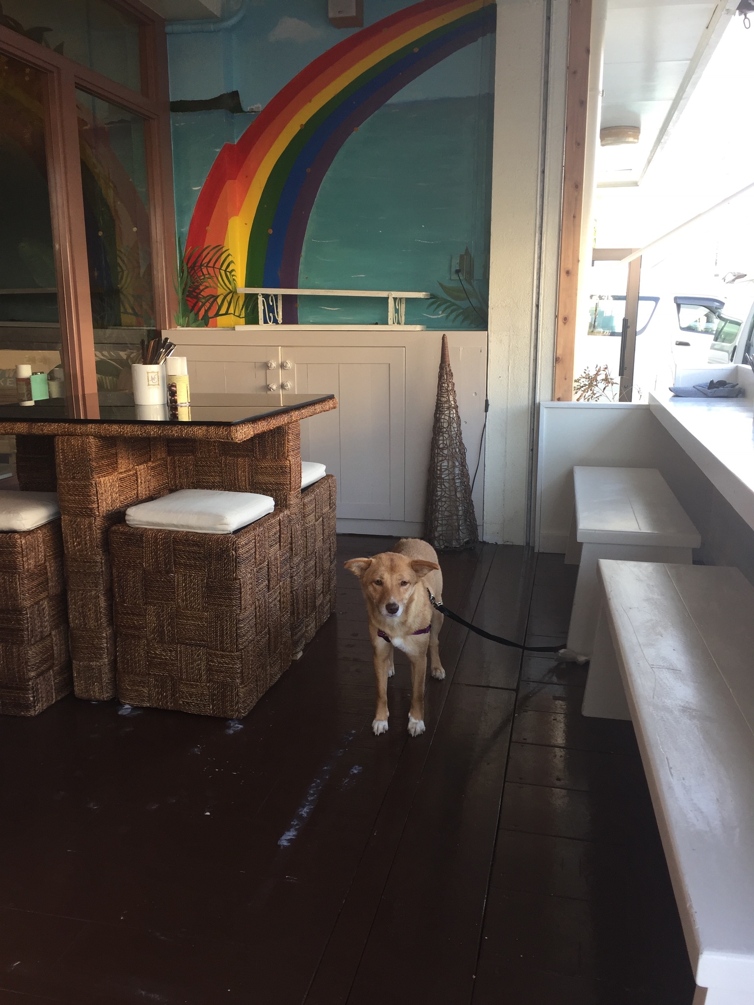 CC9AF276-8EF8-466F-B7ED-813262706FC3